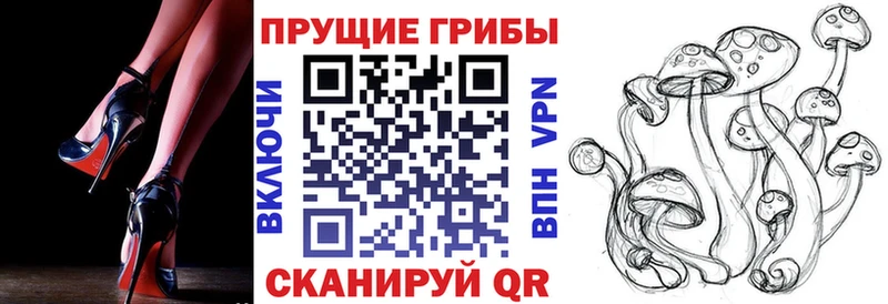 Псилоцибиновые грибы мухоморы  Купить где  Белгород 